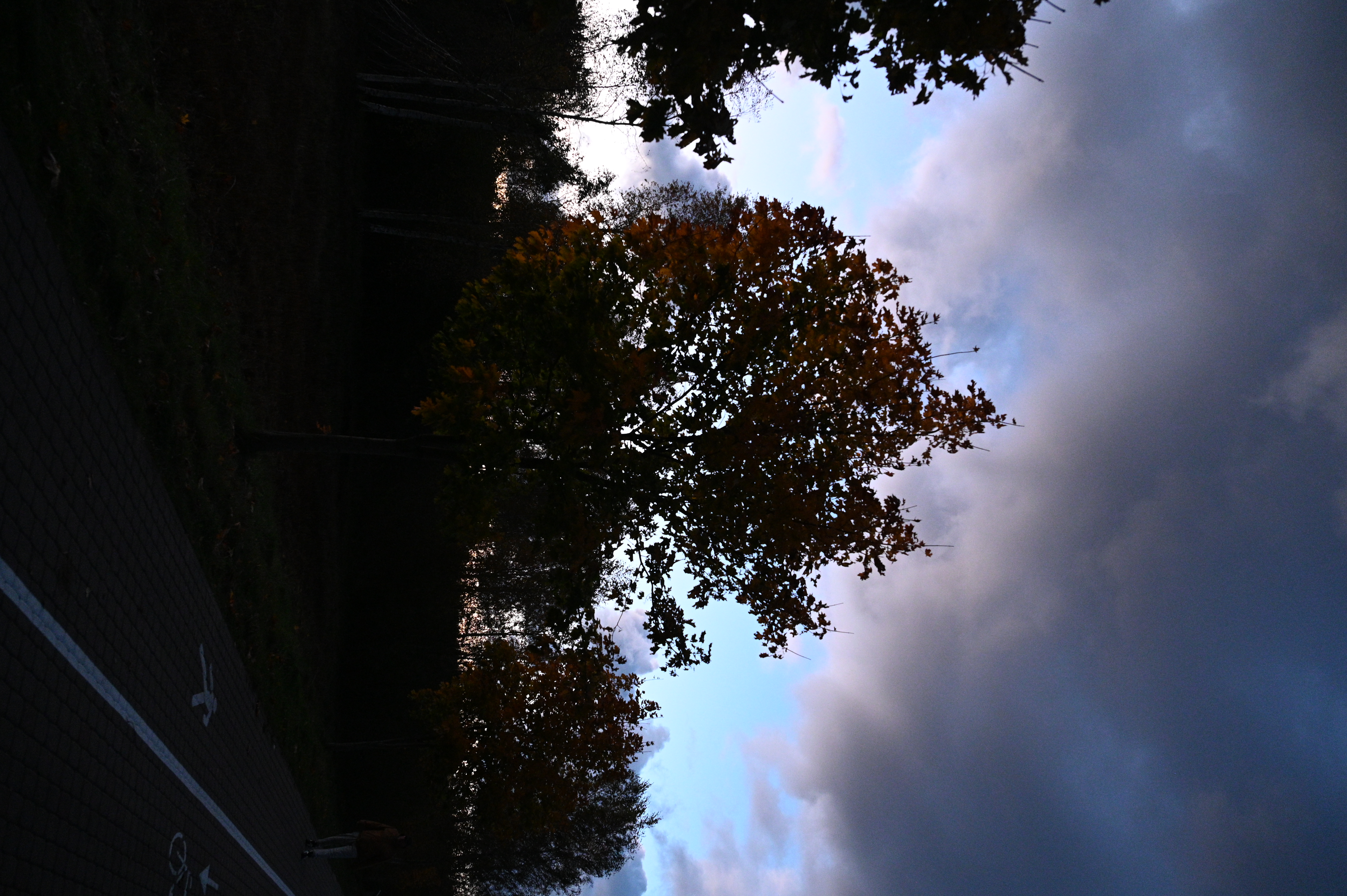 2025/10/18 - walk/DSC_0659.JPG